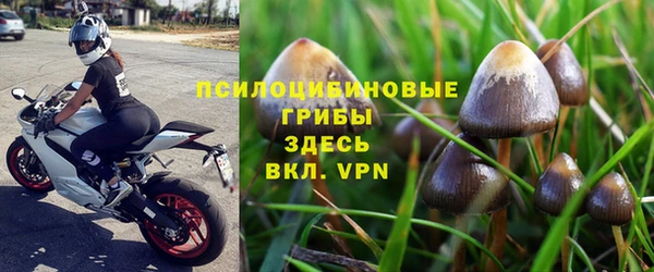 стафф Володарск