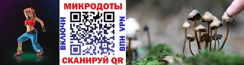 наркотики Избербаш Псилоцибиновые грибы прущие грибы